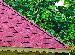 SUMMERHOUSES - Straight or scalloped fascias